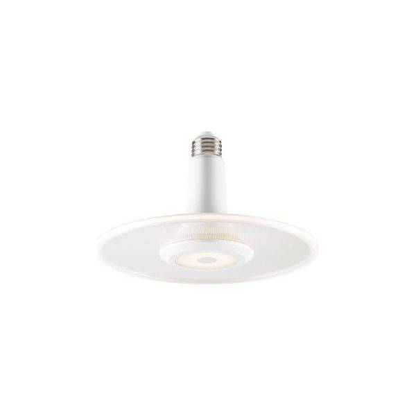 LED-Deckenlampe | Elegante Designer-Lampe | perfekt für Wohnzimmer, Küche & Arbeitsplatz