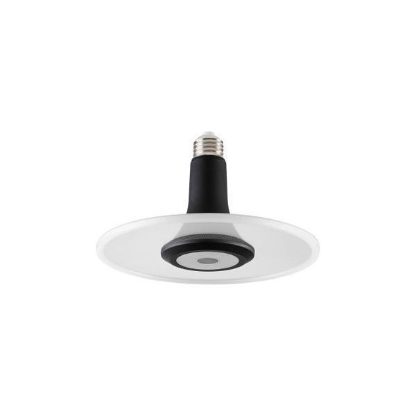 LED-Deckenlampe | Elegante Designer-Lampe | perfekt für Wohnzimmer, Küche & Arbeitsplatz