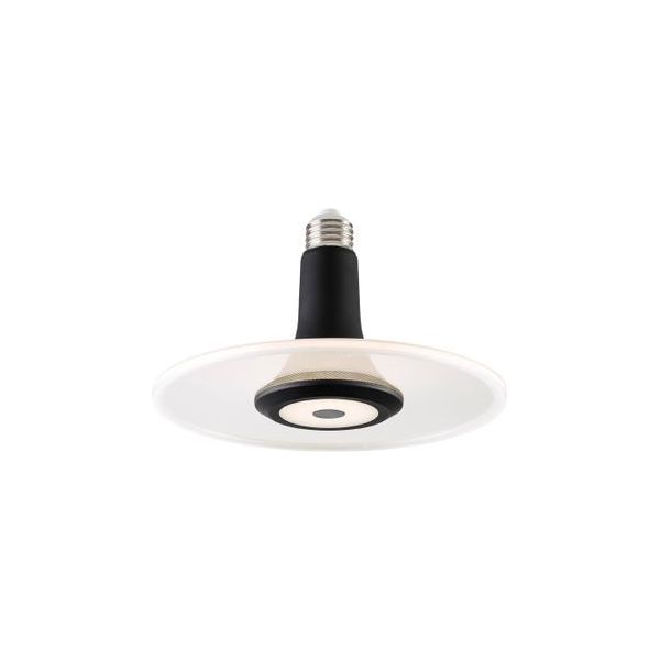 LED-Deckenlampe | Elegante Designer-Lampe | perfekt für Wohnzimmer, Küche & Arbeitsplatz