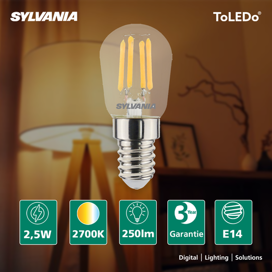 LED Dekorative Lampe | E14 Ball | Warmweiß